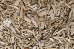 biomass boilers Fenhouses